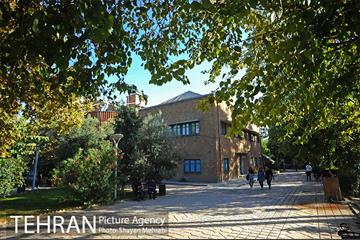 بوستان هنرمندان (ایرانشهر) 19