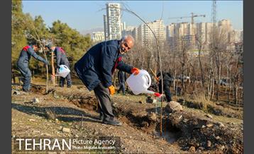 کاشت 2200 اصله نهال در بوستان جنگلی چیتگر 16