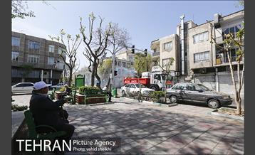 عملیات ضدعفونی محدوده مرکزی تهران 15