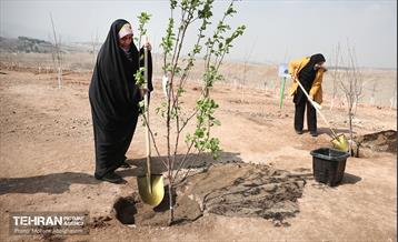نشست خبری معاون خدمات شهری و محیط زیست 2