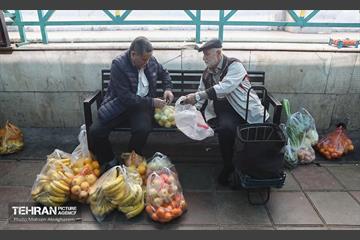 تره‌بار یلدایی 15