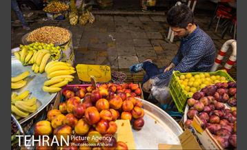 میوه های تابستانه رونق میوه فروشی ها 9