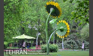 باران بهاری در تهران - 2 15