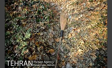 پاییز باغ ایرانی 30