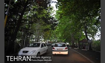 پارک جنگلی لویزان‎ 40