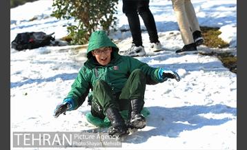 فصل زمستان در بوستان ملت 30