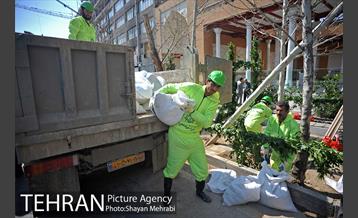 احیای درختان خیابان  ولیعصر( عج) با حضور شهردار تهران  48