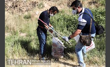 آزادسازی پرندگان و جمع آوری زباله در پارک جنگلی خجیر 22