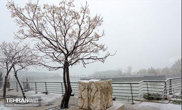 پل طبیعت سپیدپوش شد 2