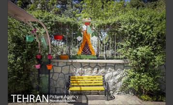 رنگ و بوی بهاری در خیابان های منطقه 7