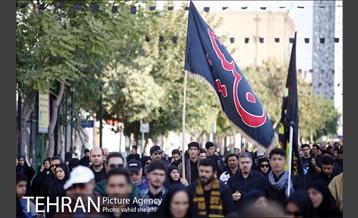 پیاده روی جامندگان اربعین حسینی (ع) در تهران 8