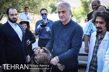 آزادسازی پرندگان و جمع آوری زباله در پارک جنگلی خجیر 13