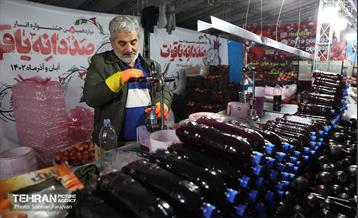 دوازدهمین جشنواره انار  10