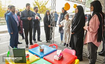پنجمین جشنواره خرمالوی کن 26