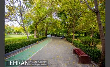 پاییز بوستان لاله 21