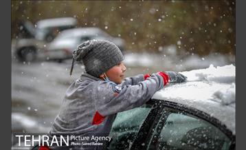 بارش نخستین برف پاییزی در تهران 26