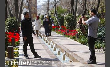 رویش گل های لاله در باغ ایرانی 10