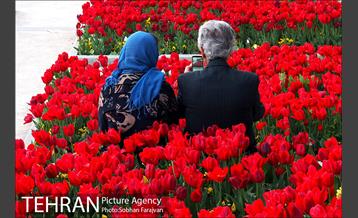 رویش گل های لاله در بوستان گفتگو 15