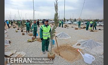 آیین کاشت درخت ایثار و امنیت 6