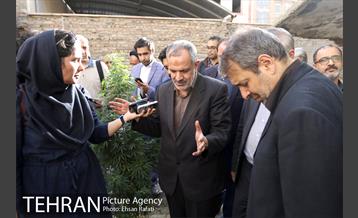 بازدید دکتر مسجدجامعی از مقبره ملک المتکلمین و صوراسرافیل  18