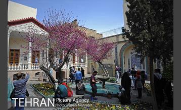 موزه مقدم در ایام نوروز 1