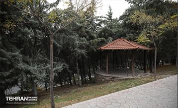 طبیعت پاییزی باغ راه فدک تهران 6