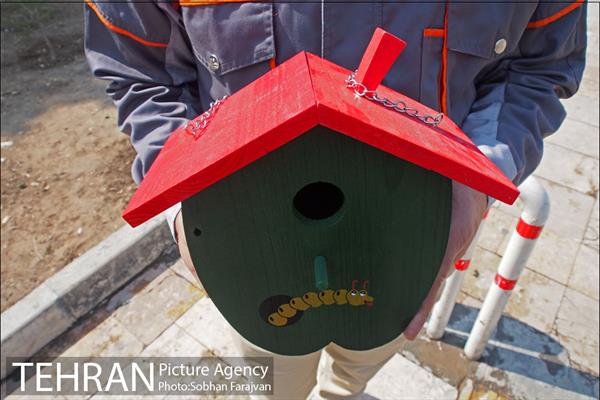 لانه‌ گذاری پرندگان در بوستان خوارزم  3