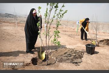 نشست خبری معاون خدمات شهری و محیط زیست 2