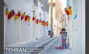 کوچه امیدی رنگ نوروز گرفت 11