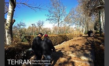 بوستان پلیس 9