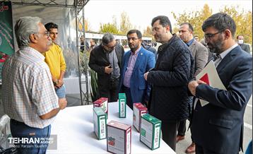 پنجمین جشنواره خرمالوی کن 27