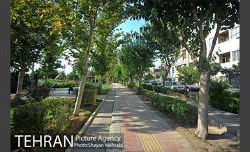 بوستان المهدی 24