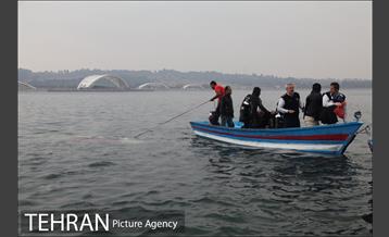 سقوط یه فروند بالگرد در دریاچه شهدای خلیج فارس 11