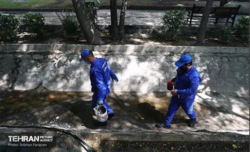 مبارزه با جانوران موذی 13