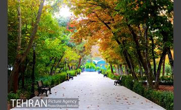پاییز پارک شهر 1