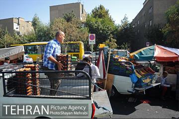 میوه فروشان خیابانی 14
