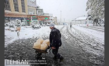 بارش برف در تجریش 16
