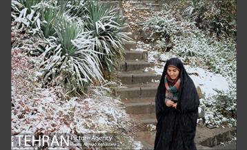 بارش نخستین برف پاییزی تهران 11