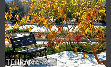 آبشار رنگارنگ 2