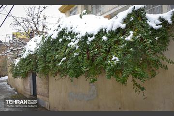 درکه پس از بارش برف  9
