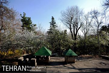 بوستان جمشیدیه (باغ سنگی جمشیدیه) 26