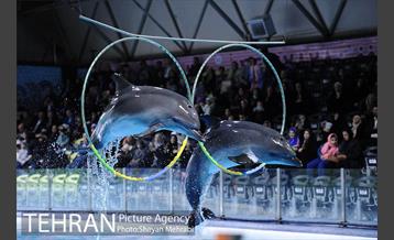 حضور خانواده هاى کارکنان شهردارى تهران در دلفیناریوم برج میلاد به همراه شهردار تهران 26