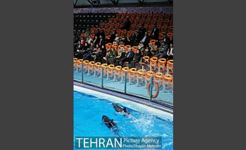 حضور خانواده هاى کارکنان شهردارى تهران در دلفیناریوم برج میلاد به همراه شهردار تهران 12