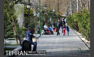 رویش گل های لاله در پارک ملت 25