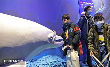 آیین بهره‌برداری از اقیانوس پارک و افتتاح ۸ فروشگاه شهروندمحله 26