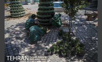 بلوار کشاورز 5