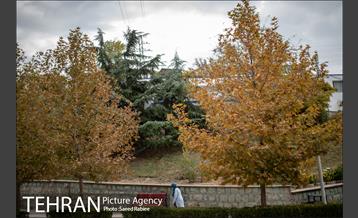 پاییز زیبای پایتخت- 3