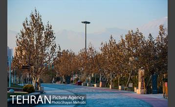 پاییز اراضی عباس آباد 24