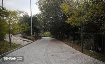 طبیعت پاییزی باغ راه فدک تهران 8