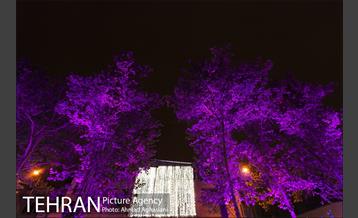 نورپردازی درختان بلوار میرداماد 21